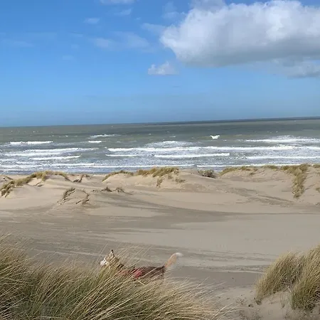 Appartamento Moderne Aan Het In Oostduinkerke-bad