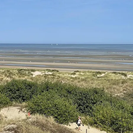 Moderne Aan Het In Oostduinkerke-bad アパート コクセッド