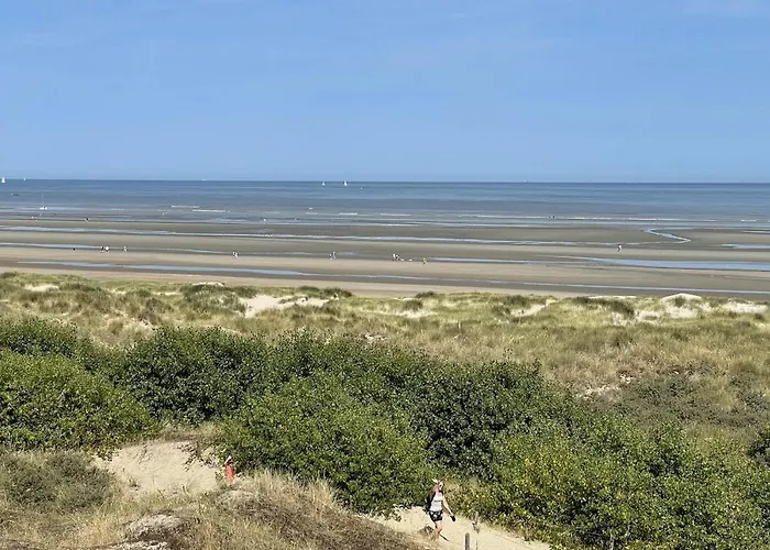 Moderne Aan Het In Oostduinkerke-bad 아파트 코크시데